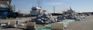 tn_paula_og_hannes_fishmeal_610.jpg