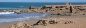 tn_tarfaya_610.jpg