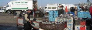 tn_aaiun_fisheries_610.jpg