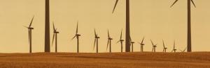 tn_siemens_windmills.jpg