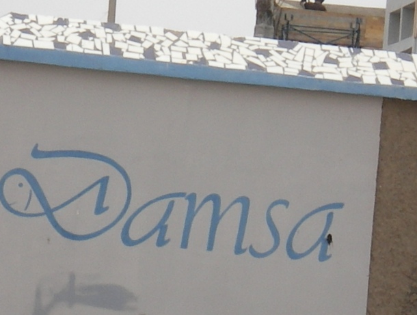damsa_02.jpg