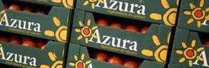 tn_azura_tomatoes_610.jpg