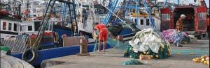 tn_moroccan_fishermen_unloading_driftnets_in_tangiers_oceana.jpg