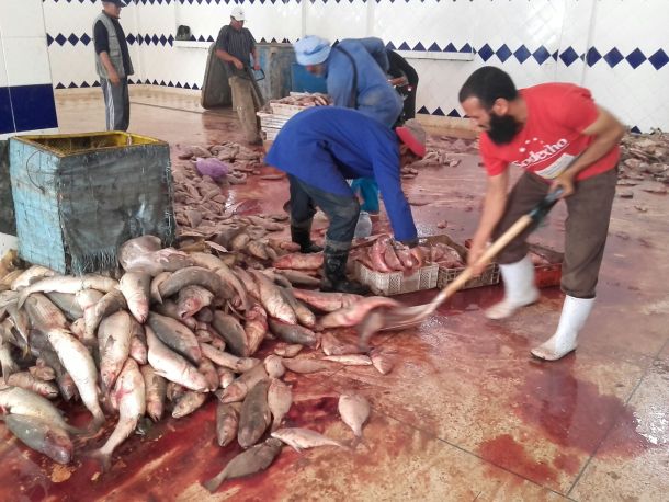 discards_dakhla_21.10.15_c_610.jpg