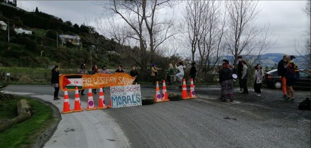 protest_dunedin_a_610.jpg